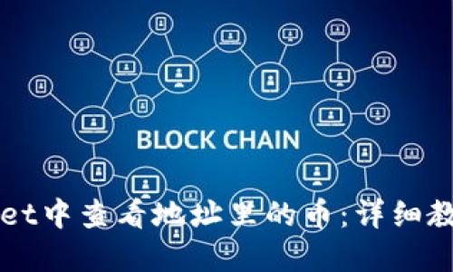 如何在TPWallet中查看地址里的币：详细教程与实用技巧