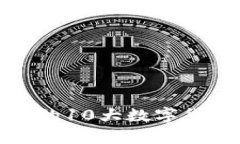 TPWallet：2023年发行的10大数