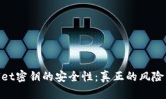 探讨tpwallet密钥的安全性：