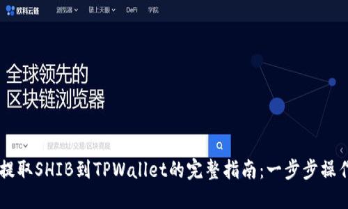 币安提取SHIB到TPWallet的完整指南：一步步操作详解