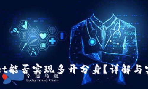 TPWallet能否实现多开分身？详解与实用指南