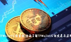 TPWallet公链查询：全面了解TPWallet公链发展与应用