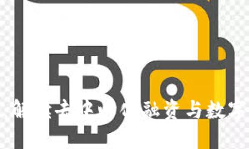 IDO与TPWallet：解读去中心化融资与数字资产管理的关系