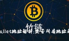 : TPWallet地址解析：是否所