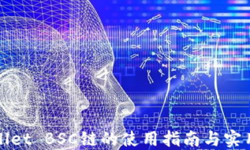 
TPWallet BSC链的使用指南与实用技巧