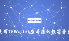 如何使用TPWallet查看您的数