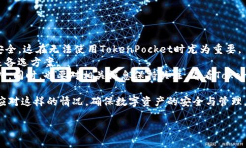   TokenPocket钱包无法使用的解决方案与替代选项 / 
 guanjianci TokenPocket, 数字钱包, 加密货币, 解决方案 /guanjianci 

TokenPocket钱包介绍
TokenPocket 是一款多链钱包，广泛支持以太坊、币安链、TRON、EOS 等各种主流区块链，为用户提供了安全、便捷的数字资产管理体验。用户可以通过 TokenPocket 存储、发送和交易多种类型的加密货币，还支持去中心化金融（DeFi）平台的访问。
然而，作为一款广受欢迎的数字钱包，TokenPocket 也会面临一些技术问题，使得某些用户在特定时间段内无法使用。这种情况可能会影响用户的资产管理和投资决策。

为什么TokenPocket钱包会无法使用？
TokenPocket钱包无法使用的原因可能有多个，以下是一些常见的原因：
ul
    listrong网络问题：/strong由于网络不稳定或连接问题，用户可能无法连接到TokenPocket 服务。/li
    listrong应用更新：/strong钱包应用需要定期更新，用户如果没有及时更新到最新版本，可能会出现兼容性问题。/li
    listrong服务器问题：/strongTokenPocket 的服务器可能遇到故障，导致用户无法访问。/li
    listrong安全问题：/strong在某些情况下，TokenPocket可能为保护用户的资产会临时关闭服务，例如发现可疑活动时。/li
    listrong区块链问题：/strong某些区块链网络本身可能遇到问题，影响TokenPocket对其的支持。/li
/ul

如何解决TokenPocket无法使用的问题？
当TokenPocket钱包无法使用时，用户可以尝试以下一些解决方案：
ol
    listrong检查网络连接：/strong确保您的设备联网，并尝试在不同的网络环境下访问TokenPocket。/li
    listrong更新应用：/strong检查您的TokenPocket 是否为最新版本，必要时在应用商店进行更新。/li
    listrong重启应用：/strong退出TokenPocket应用，稍后重新登录，有时候这样可以解决临时故障。/li
    listrong联系支持：/strong如果问题依然存在，联系TokenPocket官方客服以获得技术支持和帮助。/li
    listrong查看社交媒体与社区：/strong访问TokenPocket的官方社交媒体和社区平台，查看是否有关于服务停用或者维护的公告。/li
/ol

TokenPocket的替代选项
如果您在使用TokenPocket的过程中遇到问题且短时间内无法解决，您也可以考虑其他数字钱包作为替代方案。以下是一些推荐的数字钱包：
ul
    listrongMetaMask：/strongMetaMask 是一款支持以太坊及其衍生物的热门钱包，用户界面友好，适合普通用户和开发者。/li
    listrongTrust Wallet：/strongTrust Wallet 是由币安推出的一款多功能钱包，支持多条区块链资产，并提供内置的去中心化交易所功能。/li
    listrongExodus：/strongExodus 是一款支持多种加密货币的桌面和移动钱包，拥有良好的用户界面和用户体验。/li
    listrongLedger：/strongLedger 是一家硬件钱包制造商，提供高安全性的离线存储选项，适合长期持有者。/li
/ul

常见问题解答

1. 为什么我的TokenPocket钱包突然无法访问？
TokenPocket钱包无法访问的原因有很多，最常见的原因通常是由于网络问题或是应用程序的故障。首先，您可以检查您的网络连接，确保您能够顺利上网。如果您的网络正常，接下来可以尝试重新启动应用程序，退出后重新登录。
另外一个可能的原因是TokenPocket的后端服务器遇到了技术问题。此时您可以关注TokenPocket的官方社交平台，以获取实时更新消息。如果是这方面的问题，通常TokenPocket团队会迅速采取措施恢复服务。

2. 如何确保TokenPocket的安全性？
在使用TokenPocket或任何数字钱包时，安全性是首要考虑的因素。确保TokenPocket的安全性可以采取以下措施：
ul
    listrong定期更新：/strong确保钱包是在最新版本，开发团队会定期修复安全漏洞，增加新功能。/li
    listrong使用强密码：/strong设置复杂的密码，并尽量避免使用相同的密码在不同平台上。/li
    listrong启用二次验证：/strong如果TokenPocket支持二次验证功能，务必进行设置，以增加额外的安全层。/li
    listrong保持软件安全：/strong确保您的设备的防火墙和杀毒软件处于启用状态，避免不必要的风险。/li
/ul
通过这些措施，您可以显著降低您的TokenPocket钱包面临的安全风险。

3. TokenPocket的费用如何？
TokenPocket在使用过程中会涉及多种费用，主要包括交易手续费和网络费用。交易手续费通常由交易所平台或智能合约的要求而定，而网络费用通常与所用区块链的当前网络拥堵程度密切相关。
例如，在以太坊区块链上，如果网络拥堵，用户需要支付更高的“汽油费”才能完成交易。而在较流行的链上，费用可能相对较低。因此，在进行交易时，用户应考虑费用并选择最有利的时机进行操作。

4. 如何从TokenPocket导出我的资产？
导出资产通常是用户可能会遇到的一项操作。通常来说，用户可以通过以下过程从TokenPocket导出资产：
ol
    listrong打开TokenPocket应用：/strong在您的手机或桌面上打开应用，输入密码进行登陆。/li
    listrong选择钱包：/strong从主屏幕选择您想要导出的钱包，确保钱包包含您想要导出的资产。/li
    listrong选择导出选项：/strong通常在设置或者资产管理选项内，会有一个导出选项，点击进入后，按照提示完成导出步骤。/li
    listrong进行资产转移：/strong您可以将资产转至其他数字钱包地址，确保输入准确的地址以避免损失。/li
/ol
通过这些步骤，用户可以成功导出TokenPocket内的资产。

5. 如果TokenPocket再也无法使用，该怎么办？
若TokenPocket不再可用，用户仍有许多应对措施。首先，用户应尽可能备份好私钥或助记词，以保证资产的安全，这在无法使用TokenPocket时尤为重要。
其次，用户可以转向其他数字钱包来管理及存储自己的加密货币资产。诸如MetaMask、Trust Wallet等都是备选方案。
当然，用户也可以到TokenPocket的官网或社交媒体上寻找官方的应对方案和建议，继续从官方渠道获取支持。同时，也要对相关消息保持关注，看看TokenPocket是否会在未来推出更新或解决方案。致力于使用受信任的钱包能够确保数字资产的安全性和流动性。

通过以上信息与解答，用户可以对TokenPocket钱包无法使用问题有一个全面了解，并能够采取有效措施来应对这样的情况，确保数字资产的安全与管理。 

以上内容约2700字，包含了对TokenPocket钱包无法使用情况的分析、解决方案及相关问题的详细解答。
